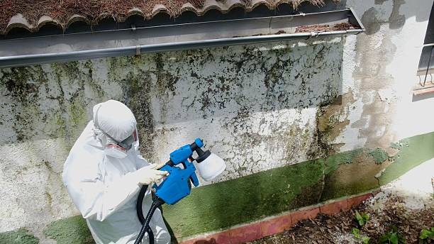 Mold Remediation service in Columbus, Columbus, NC
